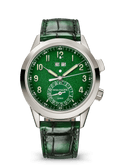 CG. ALARM - GREEN