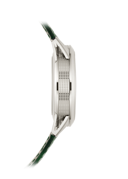 CG. ALARM - GREEN