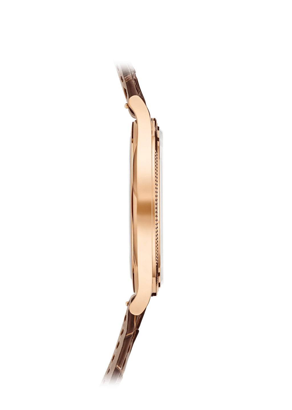 CALATRAVA - BROWN AND GOLD