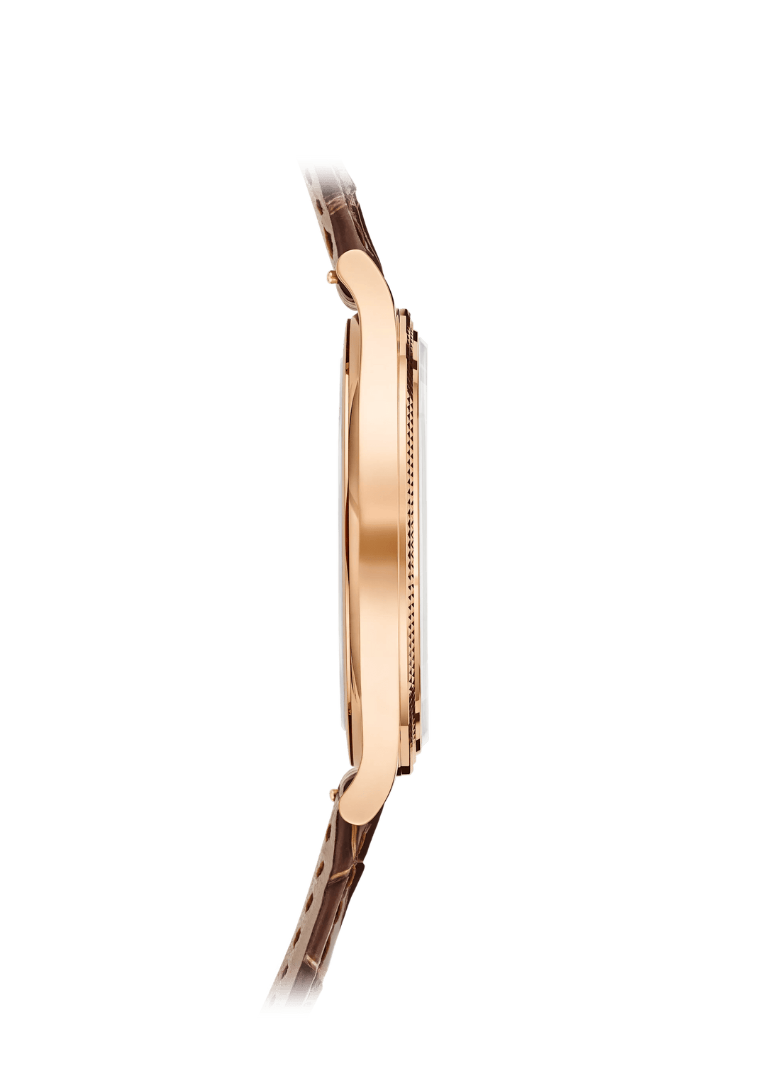 CALATRAVA - BROWN AND GOLD
