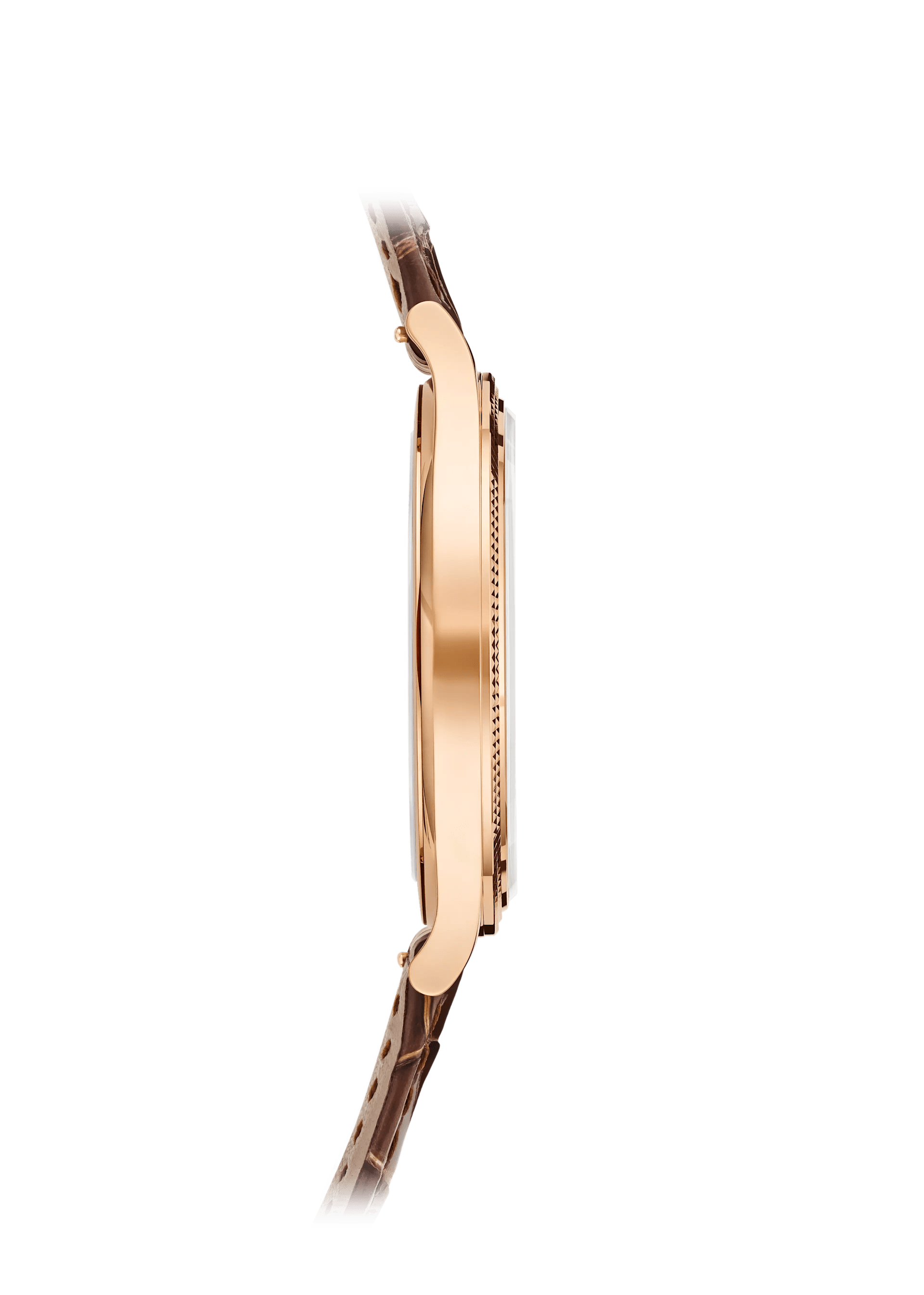CALATRAVA - BROWN AND GOLD