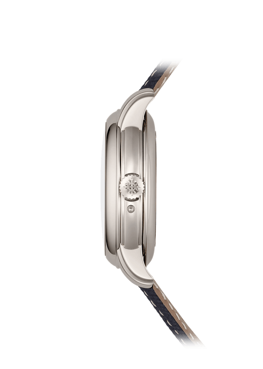 MINUTE RR. TOURBILLON RETROGATE P. CALENDAR - PLATINUM